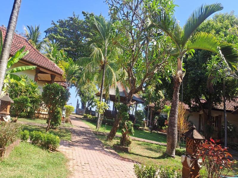 Lovina Beach Hotel - Oda