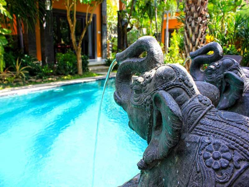 Alami Resort And Restaurant - Havuz