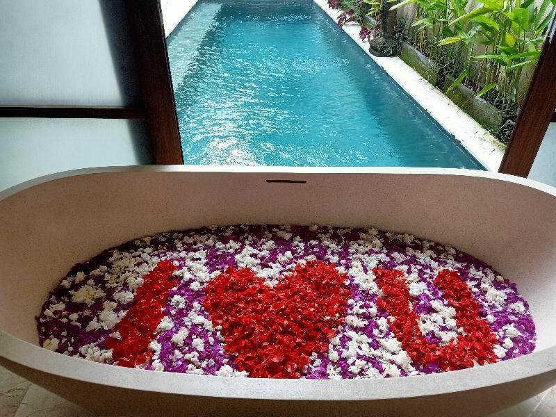 Beautiful Bali Villas - Oda