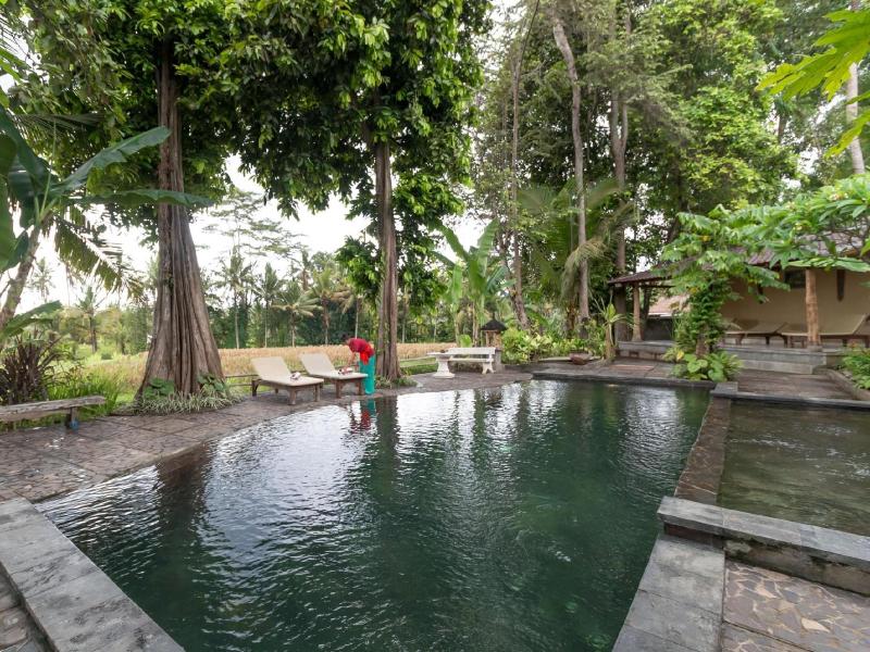Umasari Rice Terrace Villa - Havuz