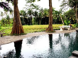 Umasari Rice Terrace Villa fotoÄŸrafÄ±