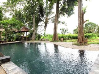 Umasari Rice Terrace Villa fotoÄŸrafÄ±