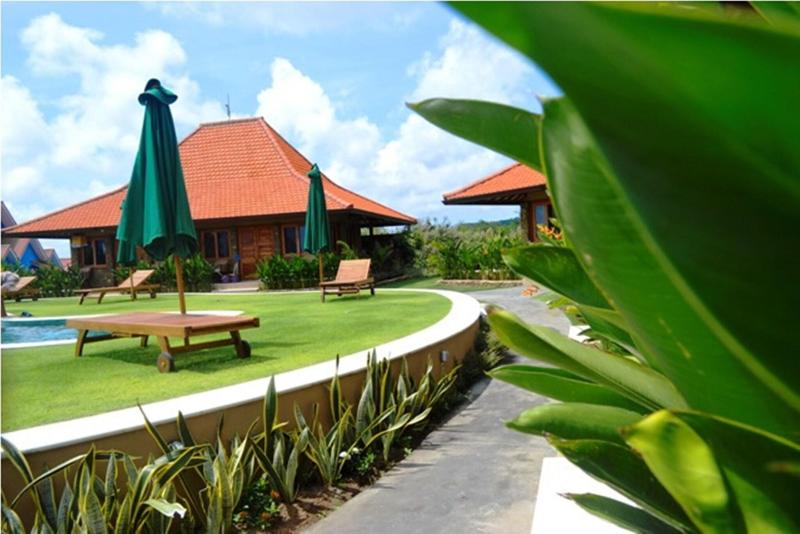 Three Monkeys Villas - Aktivite