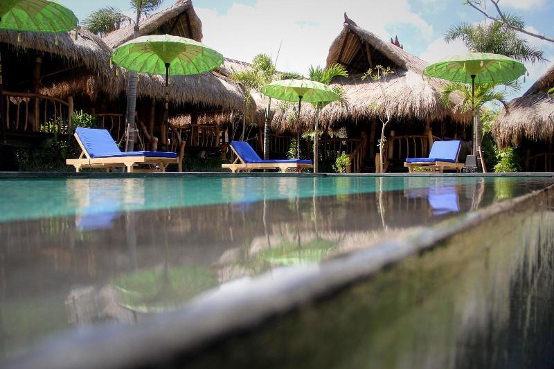 The Calmtree Bungalow - Aktivite