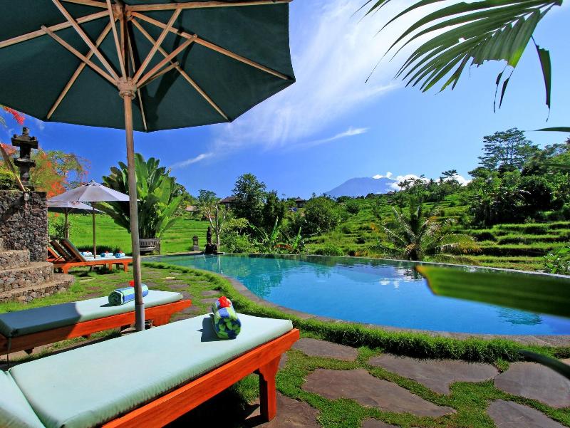 Abian Ayu Villa - Havuz