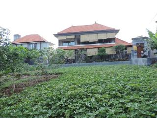 Duana Sari Ubud Guest House fotoÄŸrafÄ±