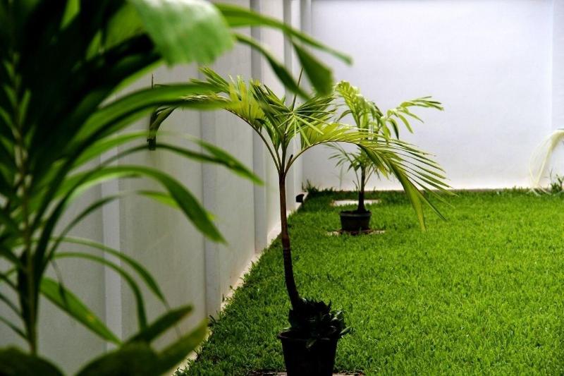 The Meet Green Apartment - Genel