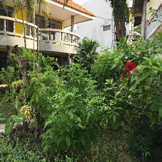 Lanta Garden Home fotoÄŸrafÄ±