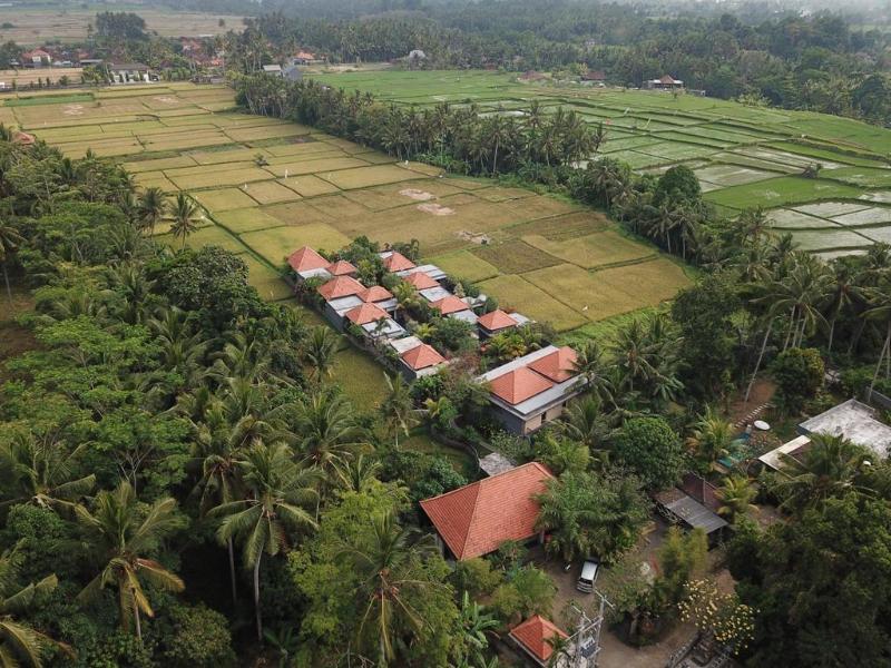 Asri Sari Villa Ubud - Genel