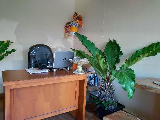 Beji Ayu Homestay fotoÄŸrafÄ±