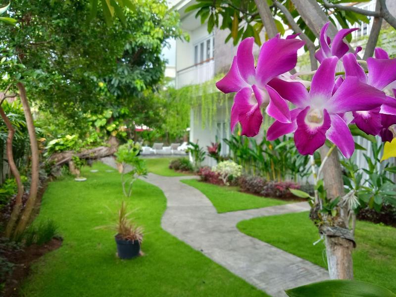 Harmony Beach Suite - Genel