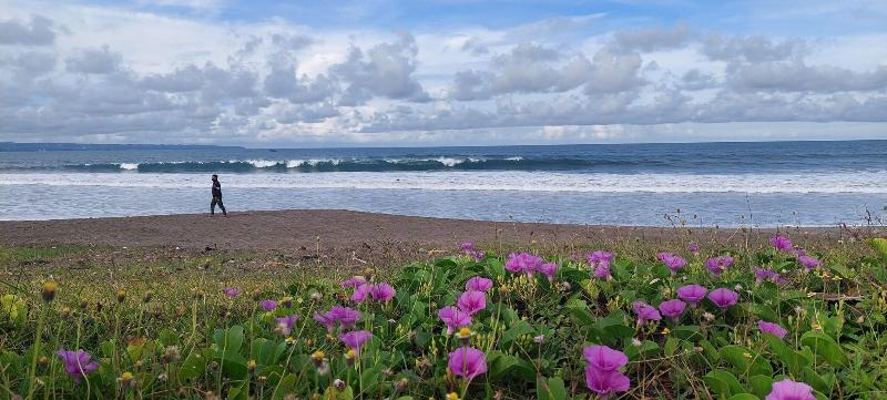 Harmony Beach Suite - Plaj