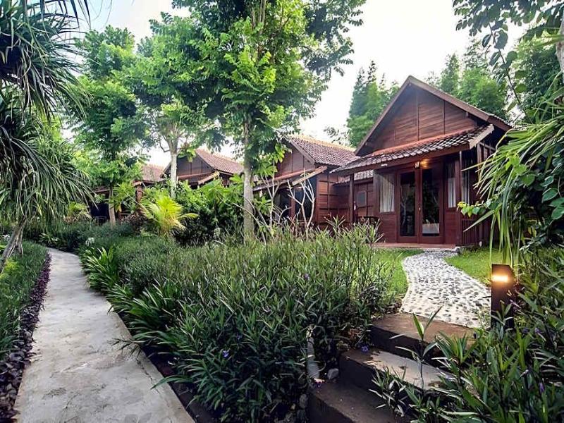 The Kirana Ungasan - Genel