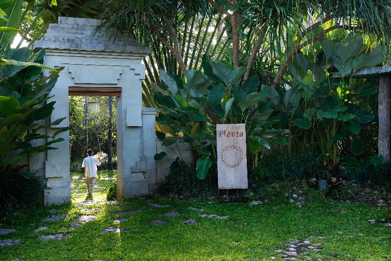 Planta Luxury Boutique Resort - Genel