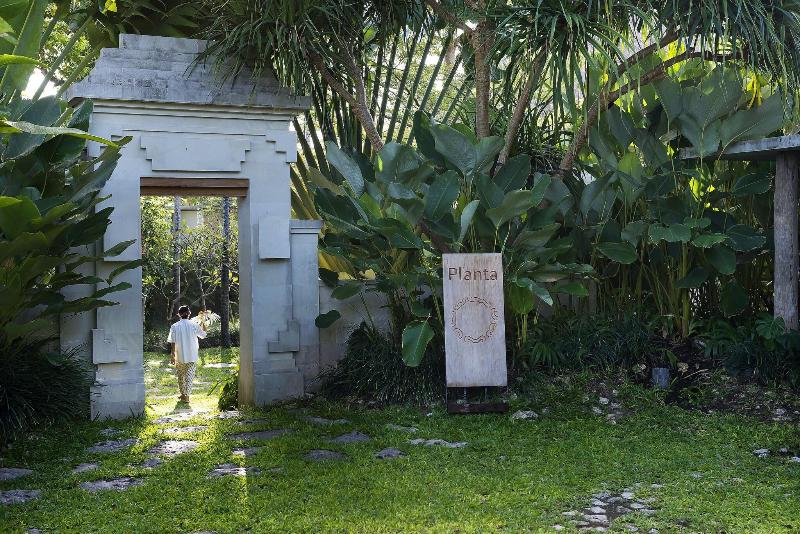 Planta Luxury Boutique Resort - Teras
