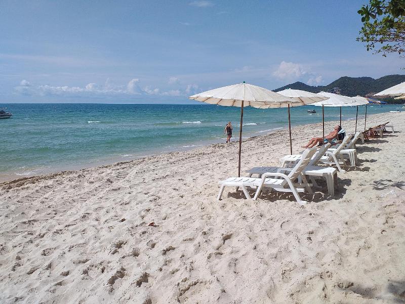 Samui Green Hotel - Genel
