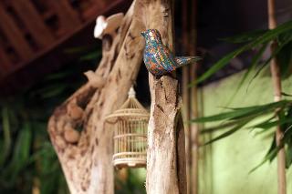 Green Bird Villa fotoÄŸrafÄ±