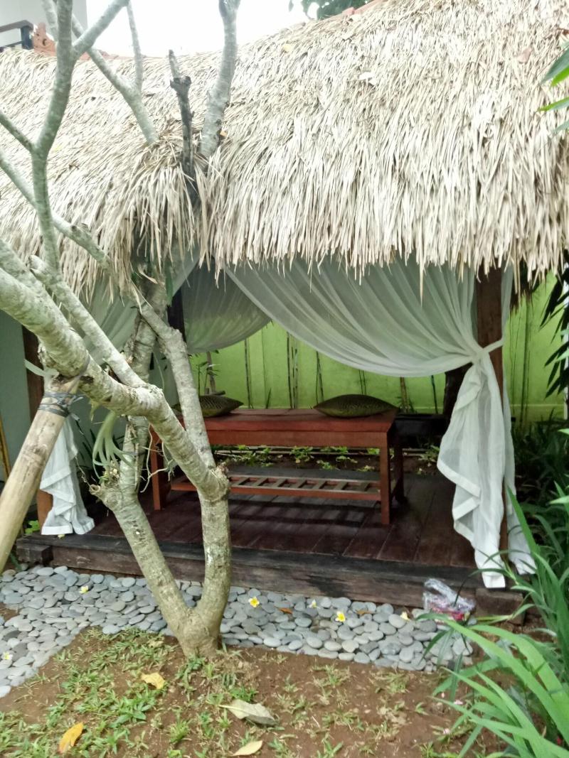 Green Bird Villa - Aktivite