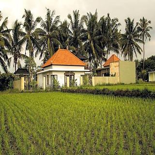 Ubud Lestari Villa fotoÄŸrafÄ±