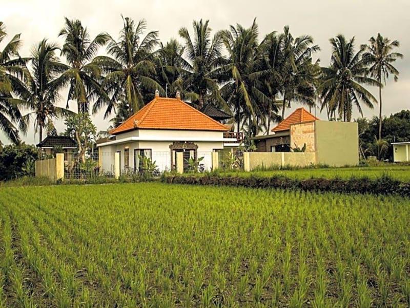 Ubud Lestari Villa - Genel