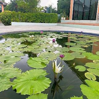 Qg Resort fotoÄŸrafÄ±