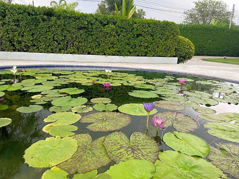 Qg Resort - Genel