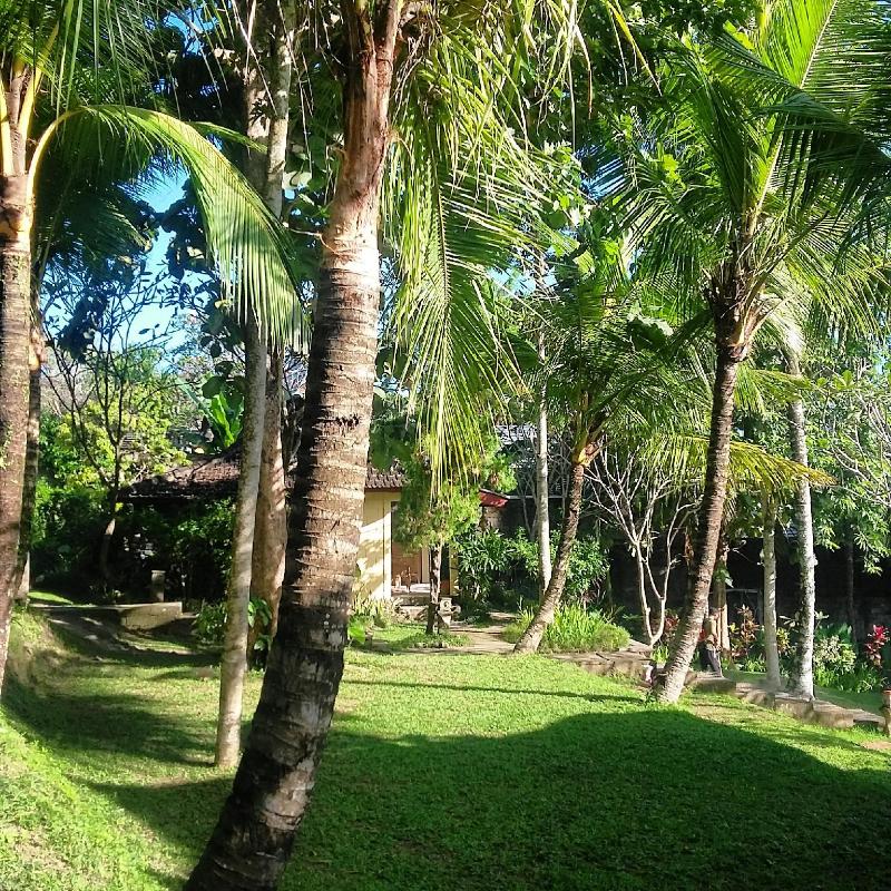 Argasoka Bungalows - Genel