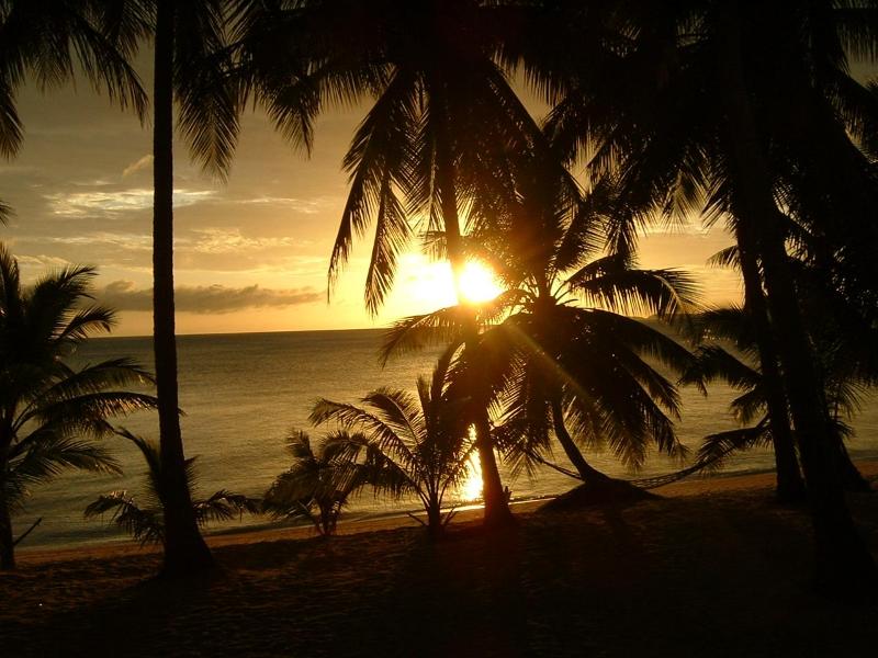 Palm Point Village - Plaj