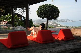 The Jungle Club fotoÄŸrafÄ±
