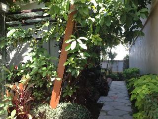 Phu Nana Boutique Hotel fotoÄŸrafÄ±