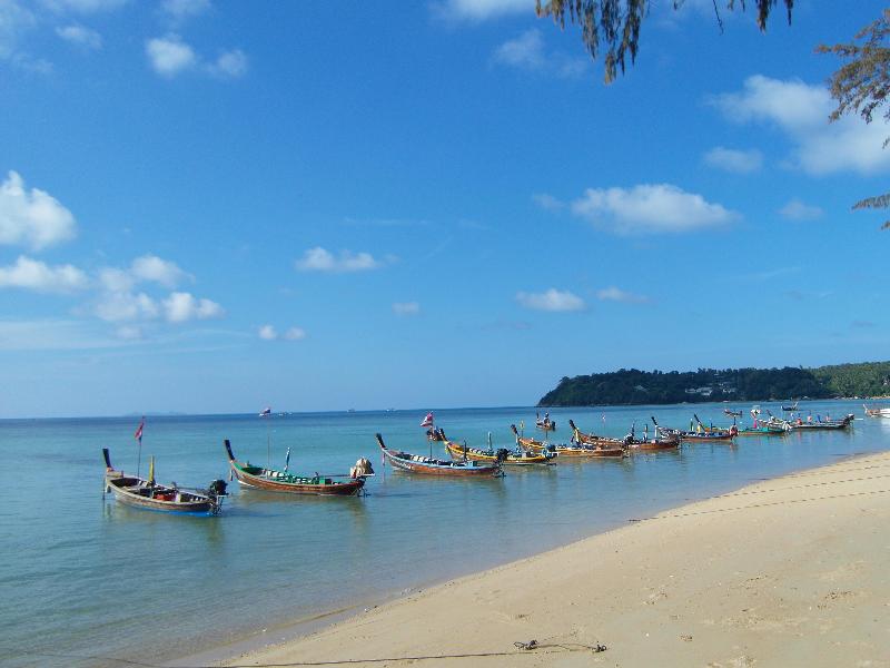 Palm Village - Genel