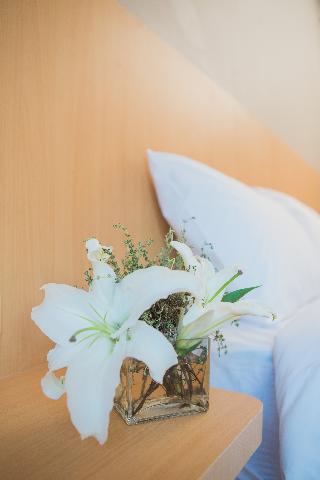 Casa De Coral Boutique Hotel fotoÄŸrafÄ±