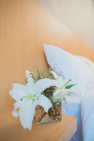 Casa De Coral Boutique Hotel fotoÄŸrafÄ±