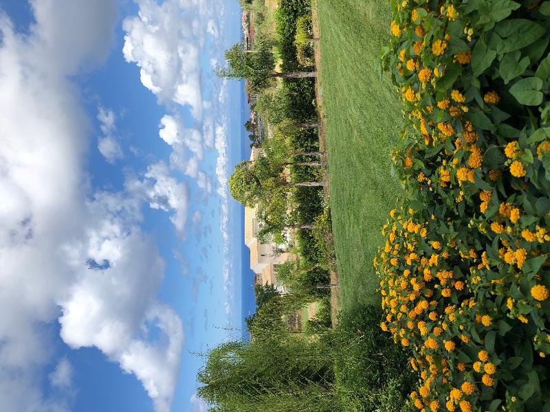 Il Borghetto Creative Resort - Lobi