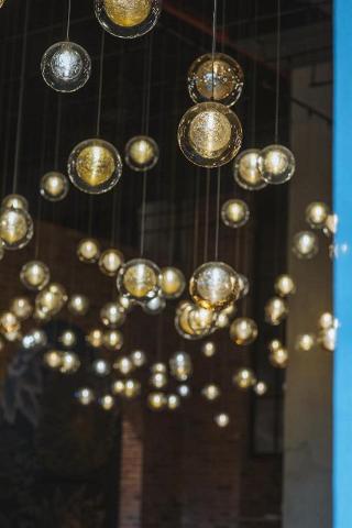 Arlo Williamsburg fotoÄŸrafÄ±