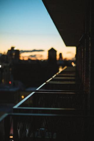 Arlo Williamsburg fotoÄŸrafÄ±
