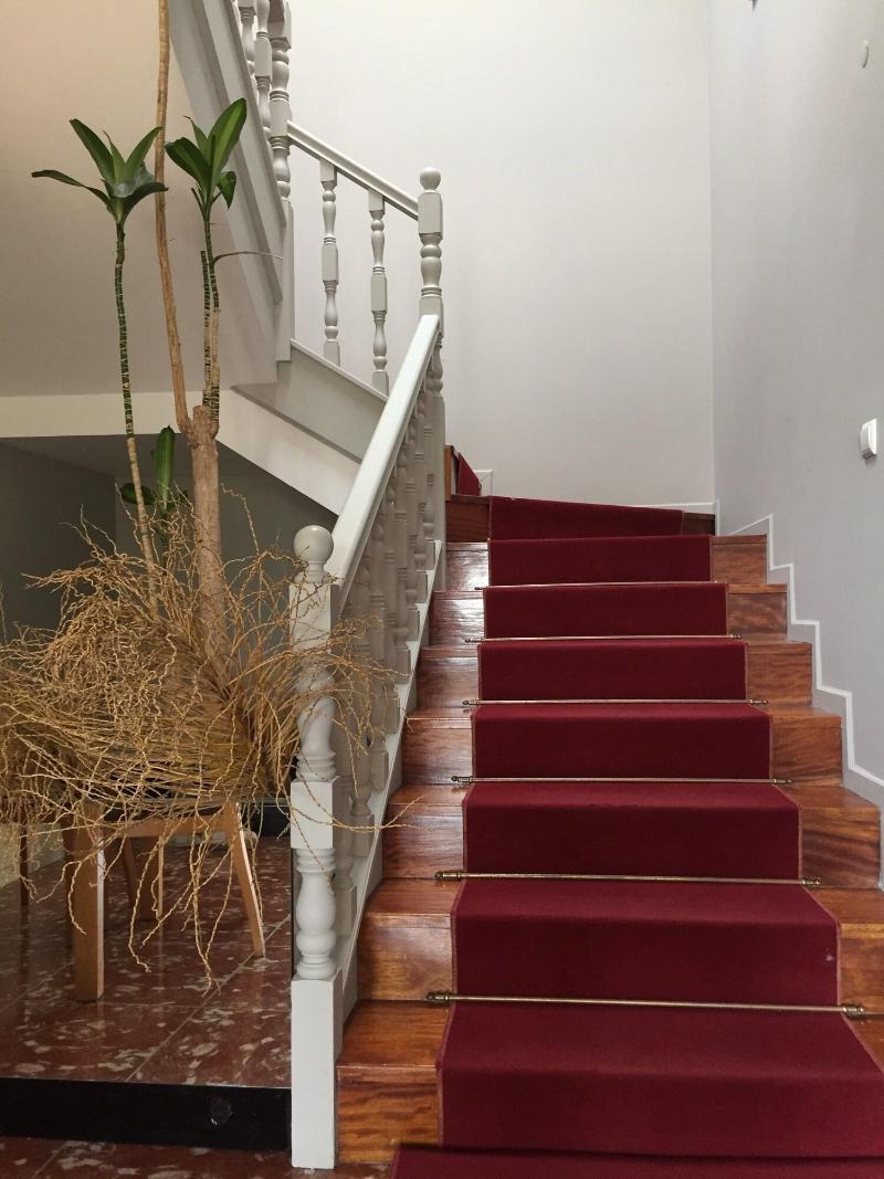 Hotel Vila - Lobi