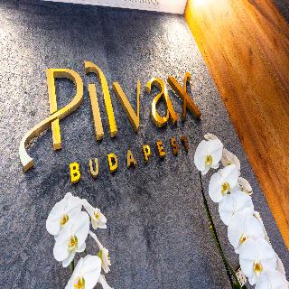 Pilvax Hotel Budapest otel fotoğrafı