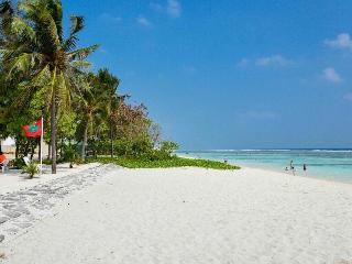 Coconut Tree Hulhuvilla Beach fotoÄŸrafÄ±