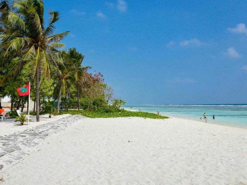 Coconut Tree Hulhuvilla Beach - Plaj