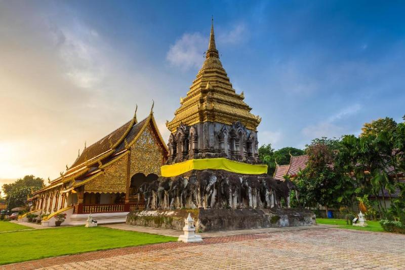 Wellness Chiang Mai Hotel - Aktivite