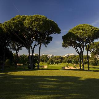 Pine Cliffs Gardens fotoÄŸrafÄ±