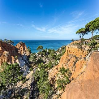 Pine Cliffs Gardens fotoÄŸrafÄ±