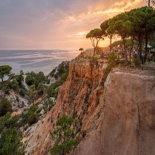 Pine Cliffs Gardens fotoÄŸrafÄ±