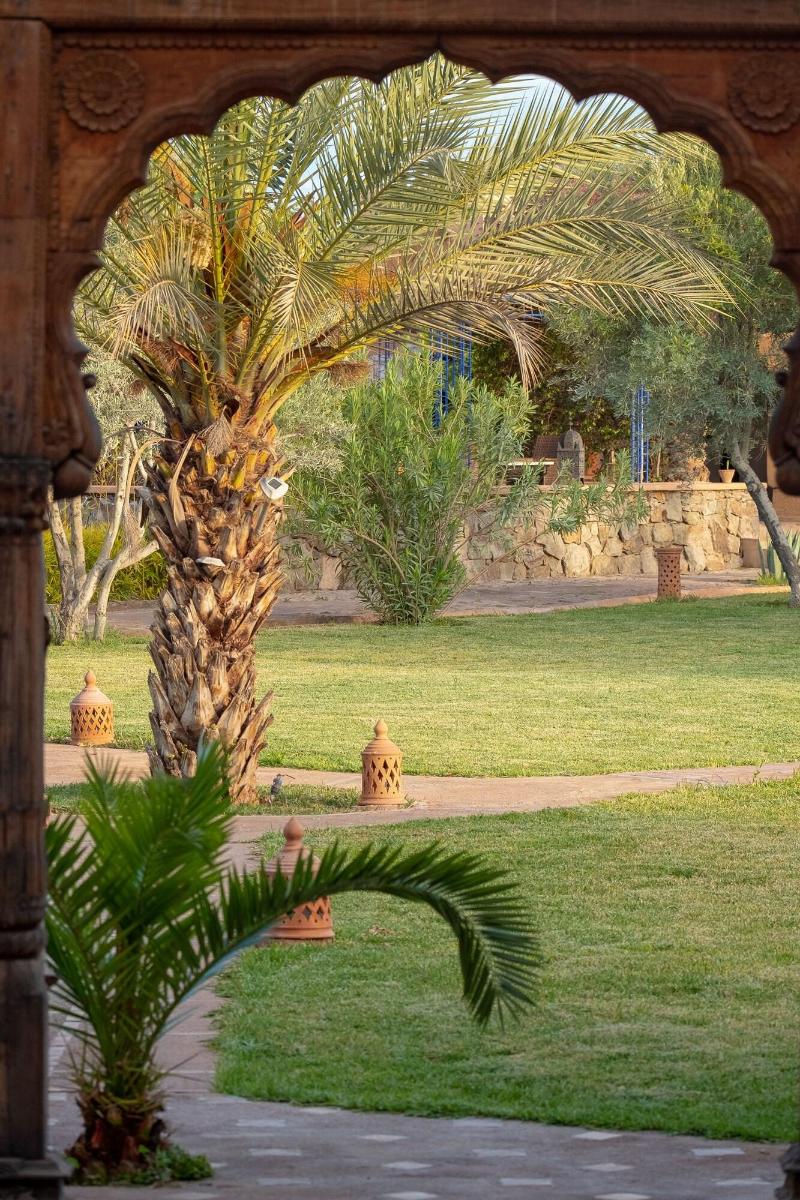 Le Chant Des Oliviers - Genel
