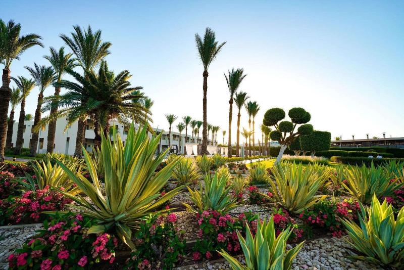 Sentido Reef Oasis Senses Resort - Teras