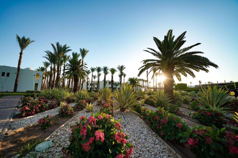 Sentido Reef Oasis Senses Resort - Teras
