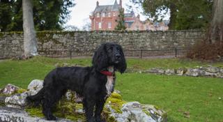Dryburgh Abbey Hotel fotoÄŸrafÄ±