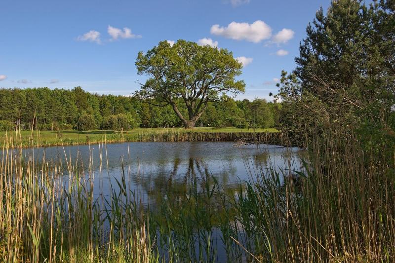 GolfResort Semlin Am See - Aktivite