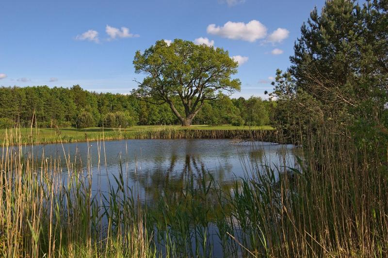 GolfResort Semlin Am See - Aktivite